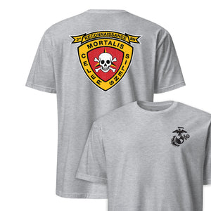 3rd Recon Battalion Back Print T-Shirt in Grey - USMC unit tee
