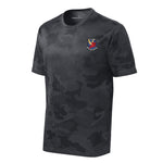 Marine Corps Air Station El Toro — Camohex Iron Grey