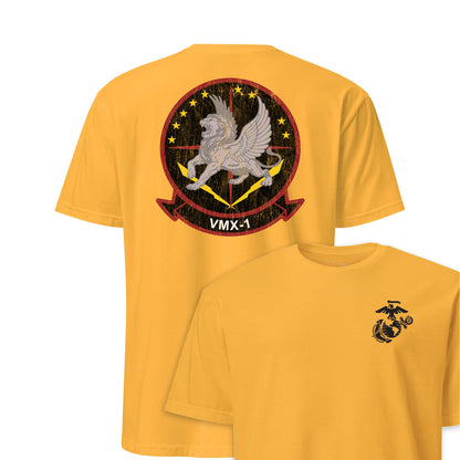 VMX-1 Flying Lions Squadron — Gold